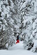 Nordic Lapland Resort