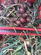 B&B Azienda Perconti