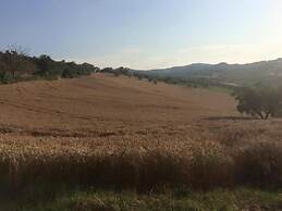 B&B Azienda Perconti