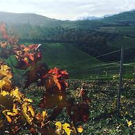 B&B Azienda Perconti