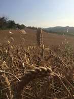 B&B Azienda Perconti