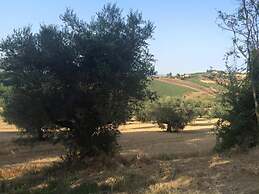 B&B Azienda Perconti