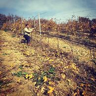 B&B Azienda Perconti