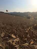 B&B Azienda Perconti