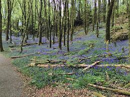 Lovely Sea View Apartment in Rineen - 4 Guests