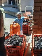 Agriturismo Corte Davini