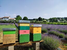 Agriturismo Corte Davini