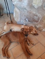 Agriturismo Corte Davini