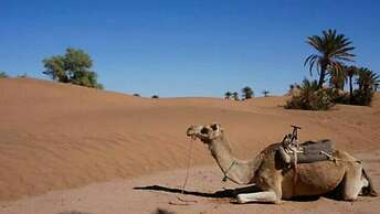 Erg Lihoudi Dunes & Bivouac