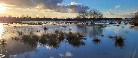 Entre Ciel et Marais