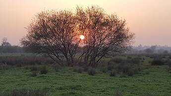 Entre Ciel et Marais