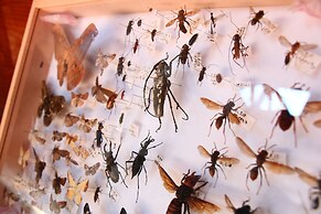 Gokase Campsite Camping and Guesthouse