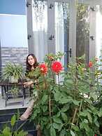 Cherry Garden Homestay
