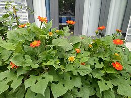 Cherry Garden Homestay