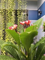 Cherry Garden Homestay