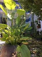 Cherry Garden Homestay