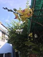 Cherry Garden Homestay
