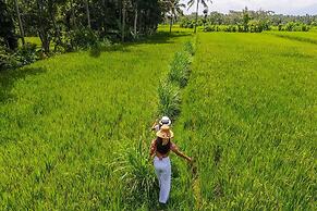 Puri Lumbung Village