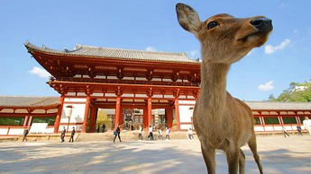 Ooimazato Samurai House2