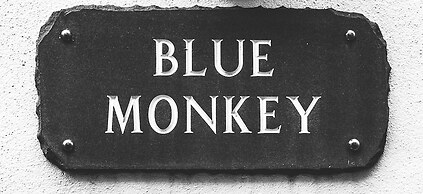 Blue Monkey