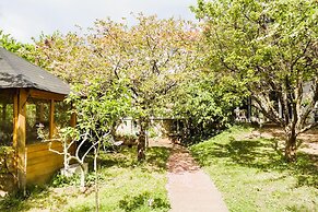 Chambre dans une maison pleine de vie