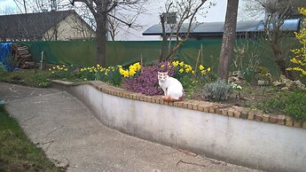Chambre dans une maison pleine de vie
