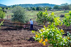 Finca Sos Ferres D'en Morey