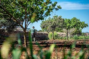 Finca Sos Ferres D'en Morey