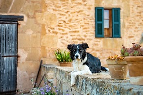 Finca Sos Ferres D'en Morey