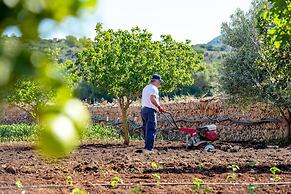 Finca Sos Ferres D'en Morey