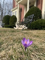 The Jeremiah Mason House B & B