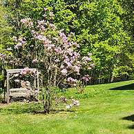 The Jeremiah Mason House B & B