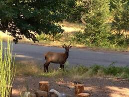 River Rock Mountain Cabin