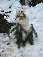 River Rock Mountain Cabin