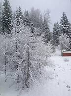 River Rock Mountain Cabin