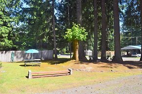 Papa`s Packwood Cabin