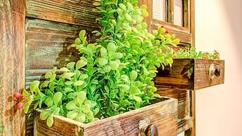 Floral Hotel Yue Tianjin