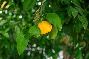 Apartment Misura - Peaceful Location