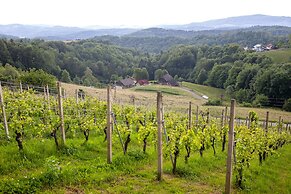 Apartment at the Vesel Homestead, Local Experience