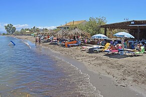 Petrakis Beach