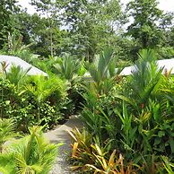 Alloro Jungle Villas