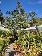 Alloro Jungle Villas