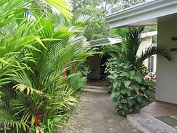 Alloro Jungle Villas