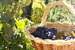 Quinta do Mocho Turismo Rural