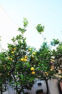 I tre Golfi Captain Cooper