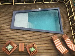 Driftwood Gardens Guesthouse