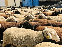 B&B Puente de Órbigo