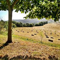 Agriturismo Casa Greppo - Il Mandorlo