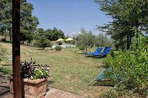 Agriturismo Casa Greppo - Il Mandorlo