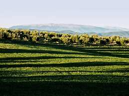 Agriturismo Casa Greppo - Il Mandorlo